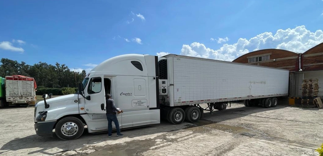 Transporte 4