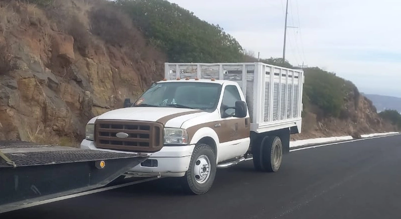 Transporte 6